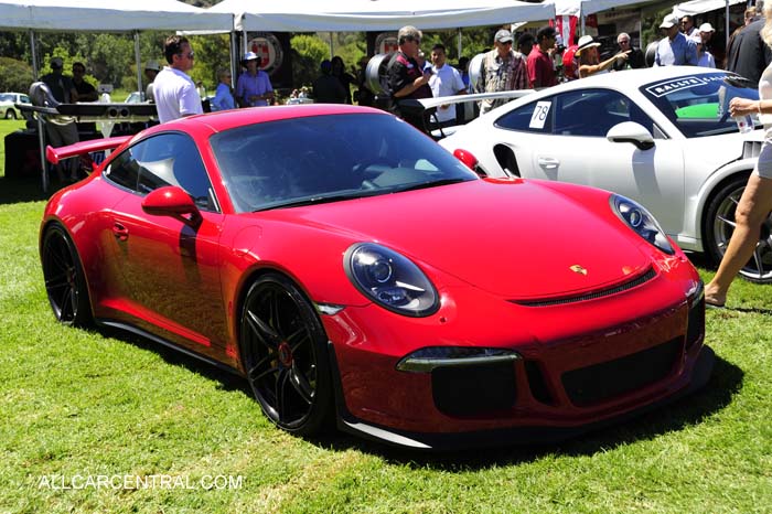 PORSCHE 911 GT3N sn-WP0AC2A9XFS183988 2015  Porsche Works Reunion 2015
