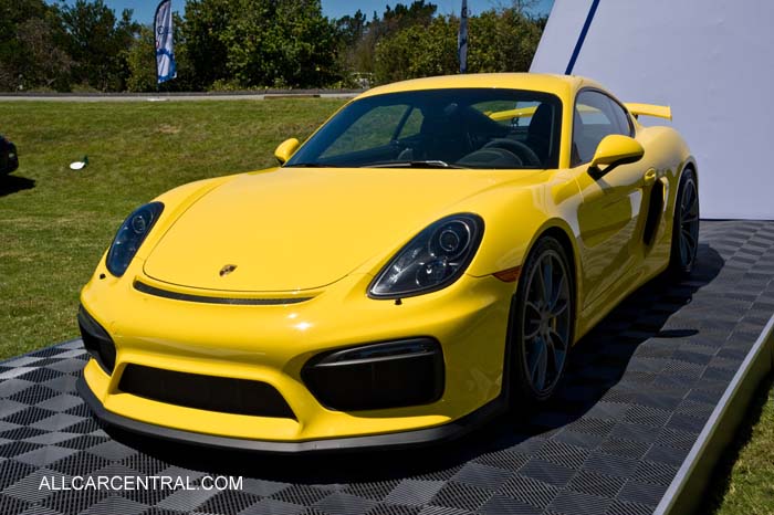  Porsche 981 GT4 sn-WP0AC2A86GK19706 2016  Porsche Works Reunion 2015