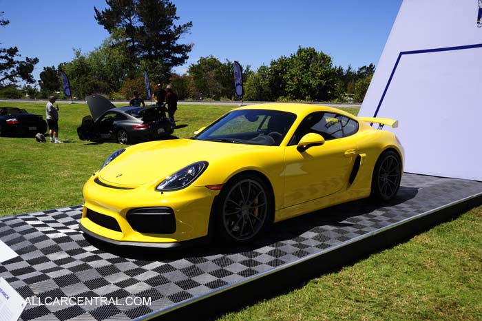 Porsche 981 GT4 sn-WP0AC2A86GK19706 2016  Porsche Works Reunion 2015