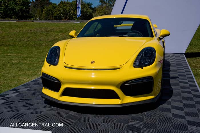 Porsche 981 GT4 sn-WP0AC2A86GK19706 2016  Porsche Works Reunion 2015