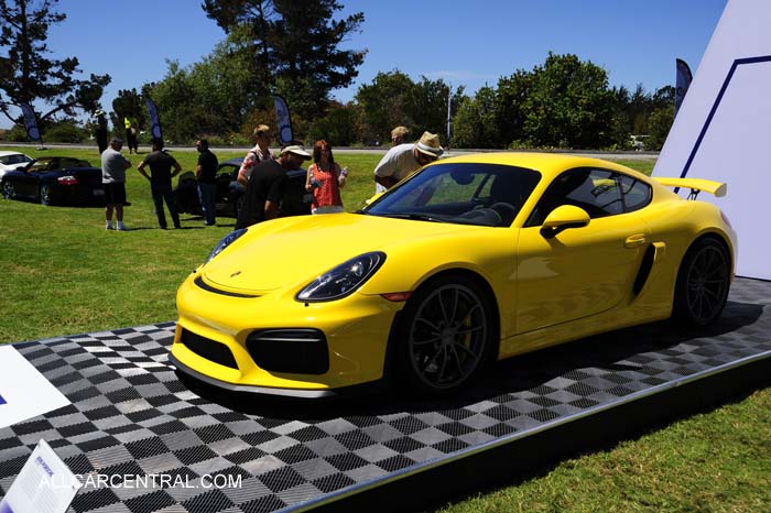 Porsche 981 GT4 sn-WP0AC2A86GK19706 2016  Porsche Works Reunion 2015