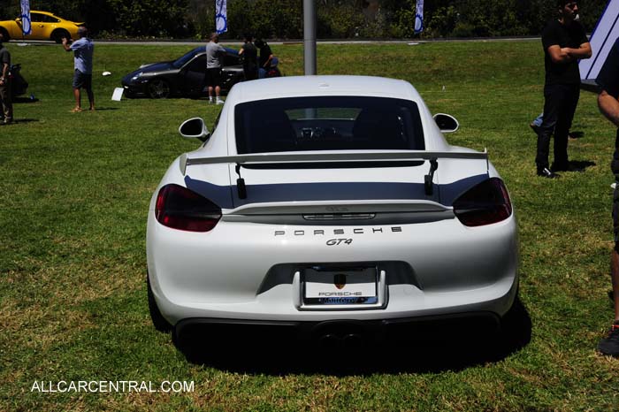 Porsche Cayman GT4 sn-WP0AC2A82GK197117 2016  Porsche Works Reunion 2015