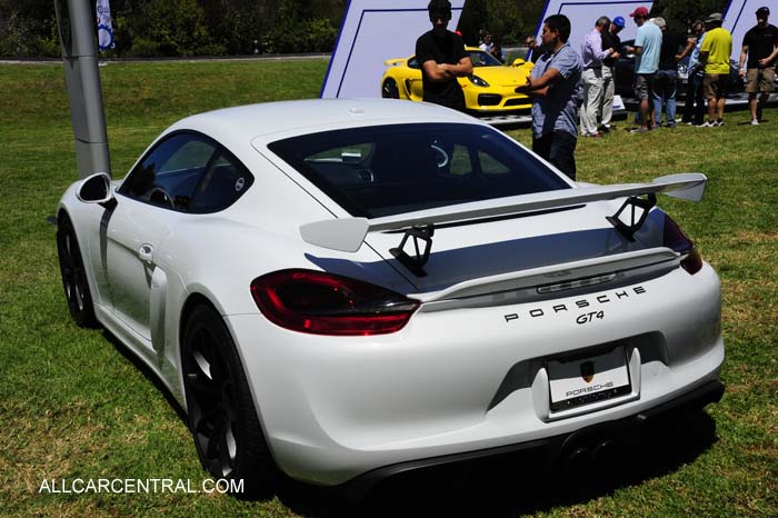 Porsche Cayman GT4 sn-WP0AC2A82GK197117 2016  Porsche Works Reunion 2015