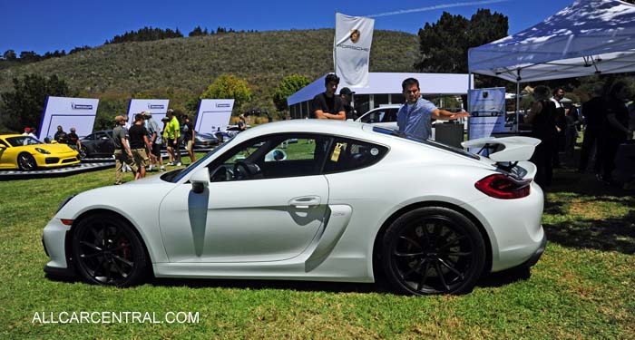 Porsche Cayman GT4 sn-WP0AC2A82GK197117 2016  Porsche Works Reunion 2015
