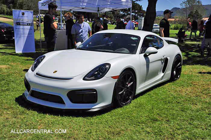 Porsche Cayman GT4 sn-WP0AC2A82GK197117 2016  Porsche Works Reunion 2015