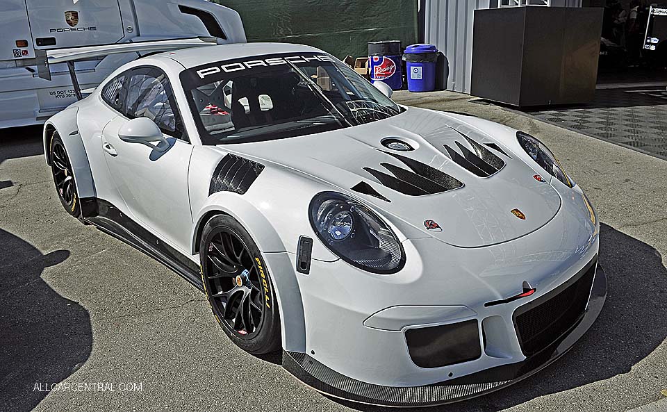 Porsche 911GT3 Cup MR 991-2 2018 Rennsport VI 2018