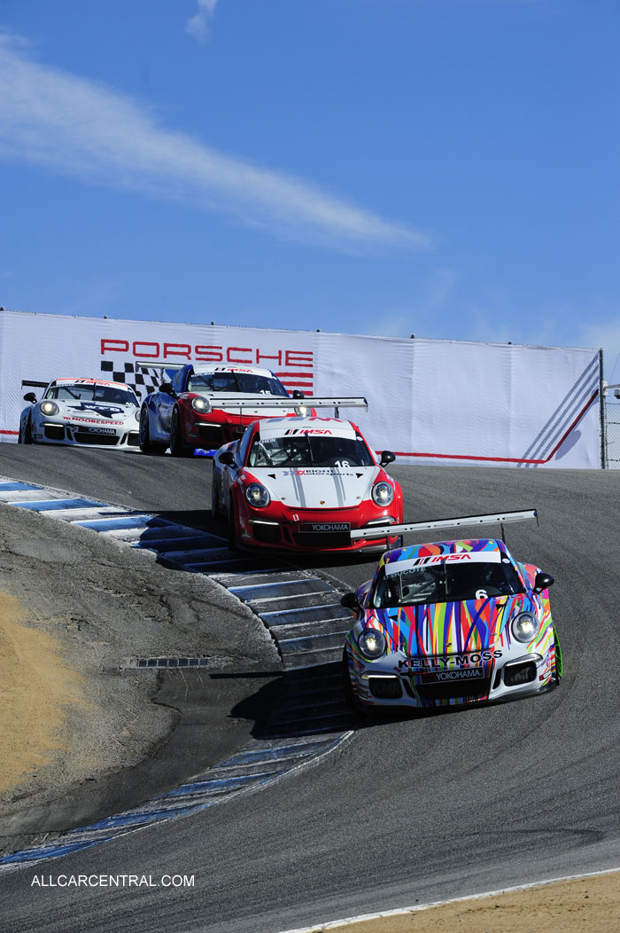 Rennsport Reunion V 2015